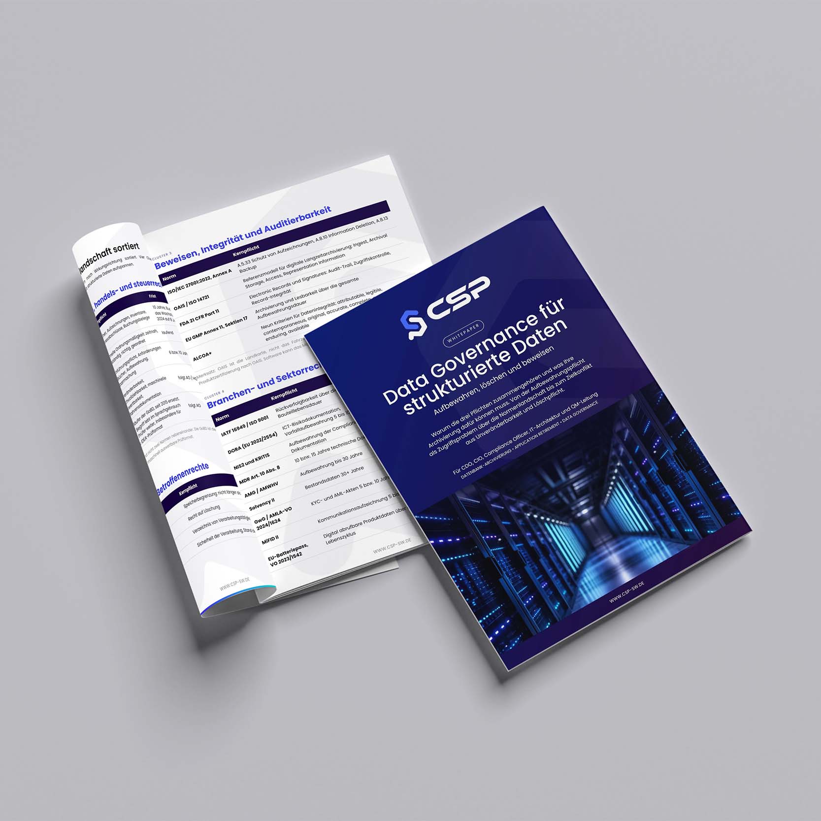 Data Governance für strukturierte Daten